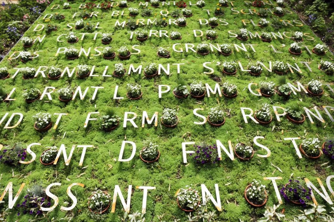 文字带来的魅力,奇特文字符号