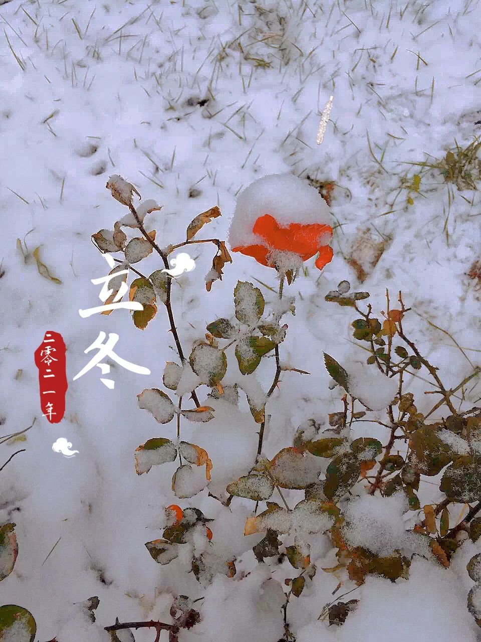 学习总是记不住，这五个步骤让你成为真正的学习高手