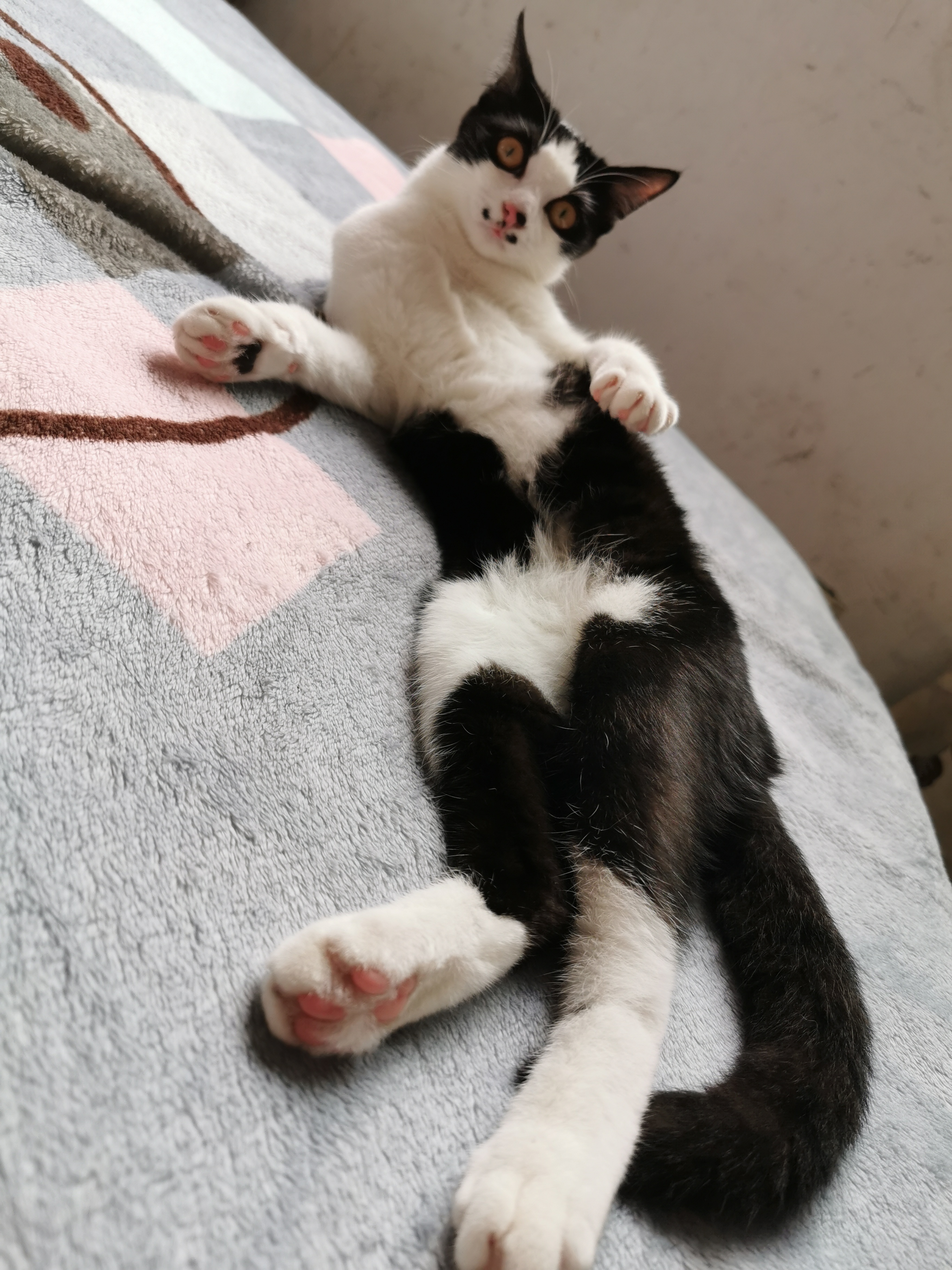 下雨天了我好想你歌词,下雨天了怎么办我好想你原版