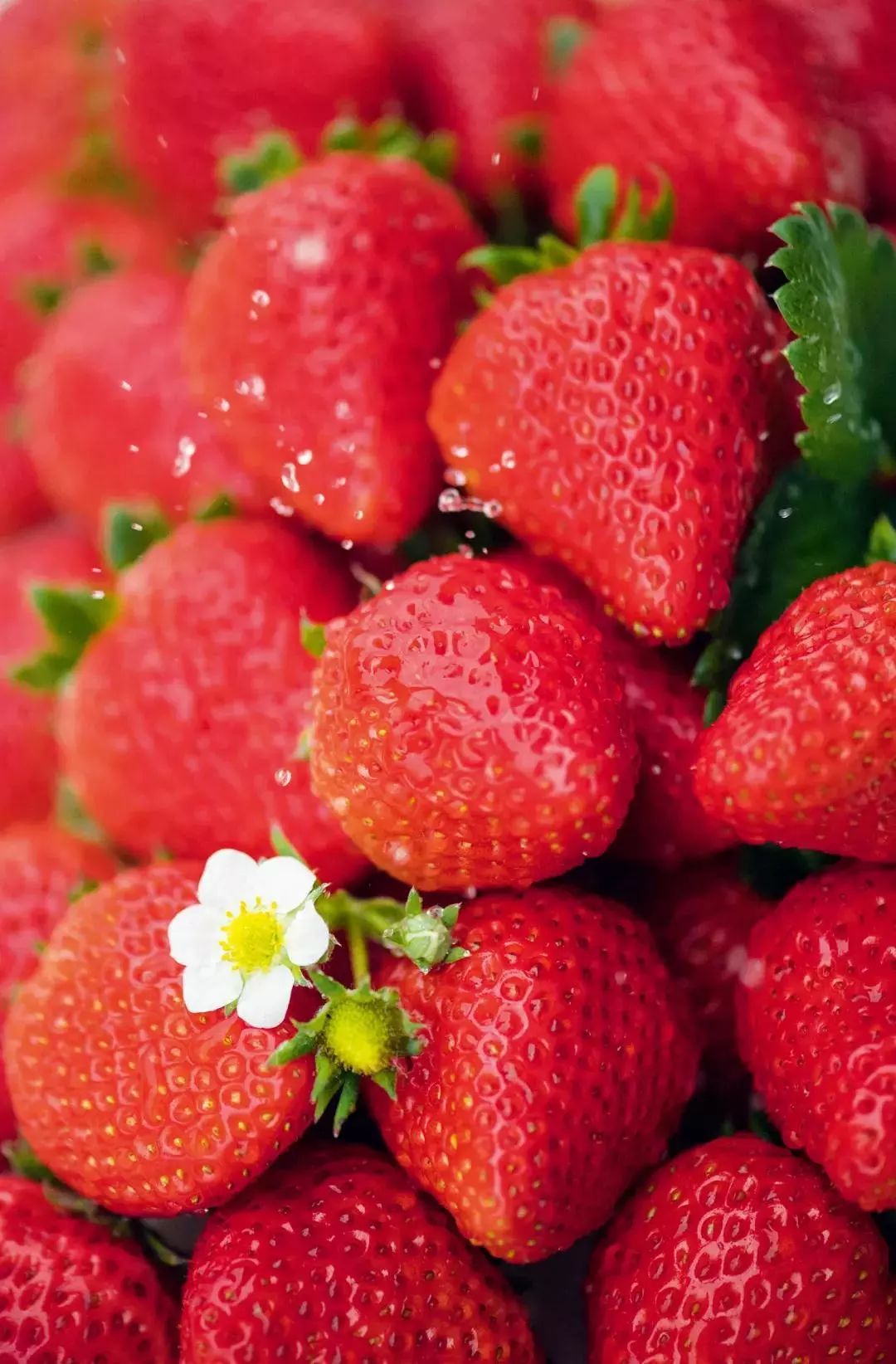 青州人过年有什么新鲜的?