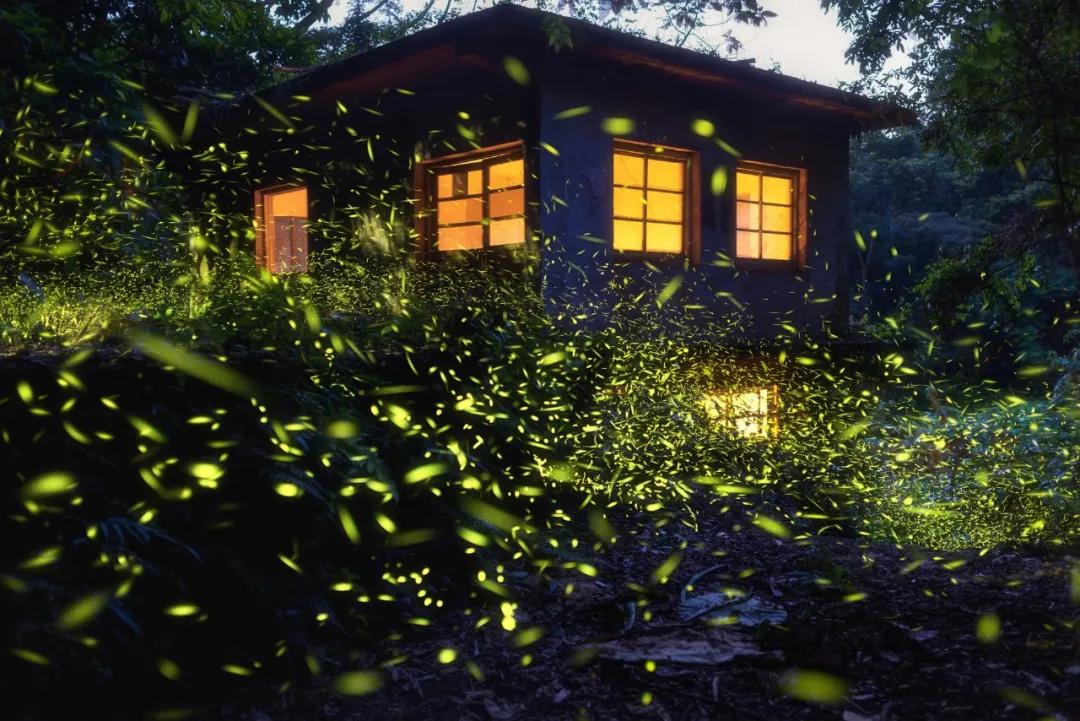 莫干山原木风绿野仙踪花园民宿,莫干山桃坡探险乐园绿野仙踪