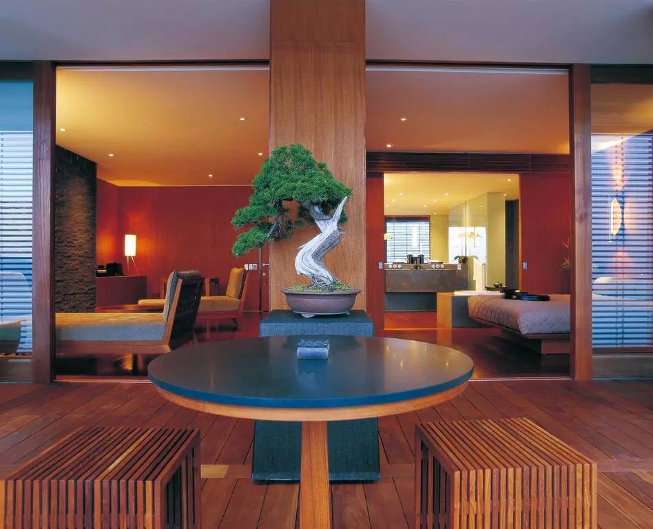 设计酒店推荐平价,国内十佳设计师酒店