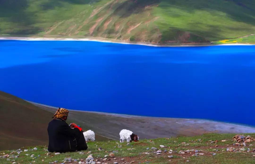 拉萨羊湖门票优惠政策最新,羊湖门票价格调整通知