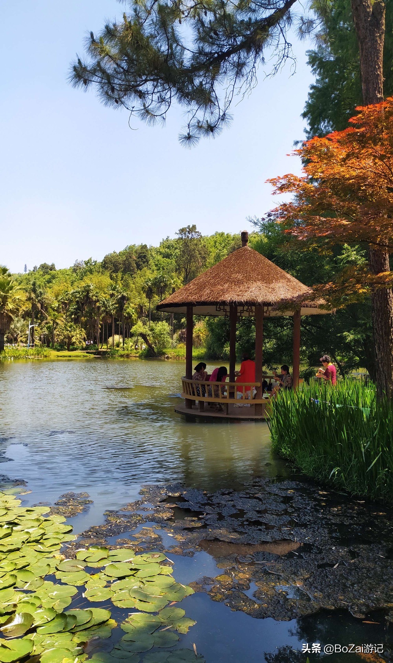 到昆明游玩必去的景点推荐一下,昆明官渡附近景点哪里好玩免费的