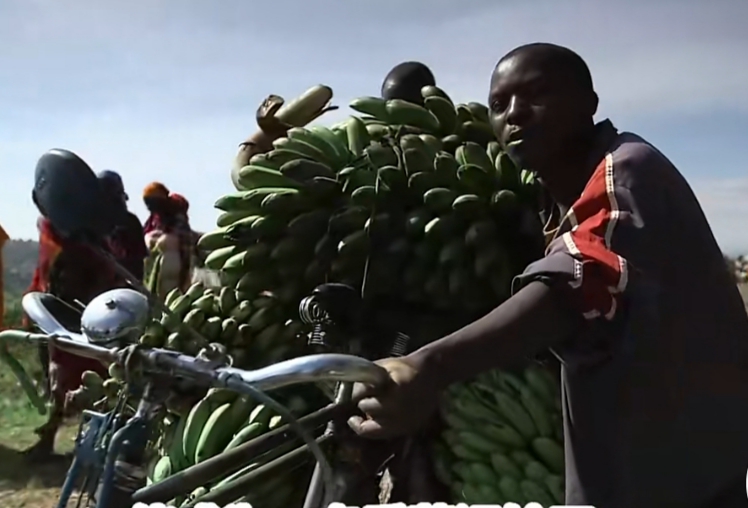 喀麦隆玩命出租车，一辆车坐17人，中国自行车也在非洲遍地开花