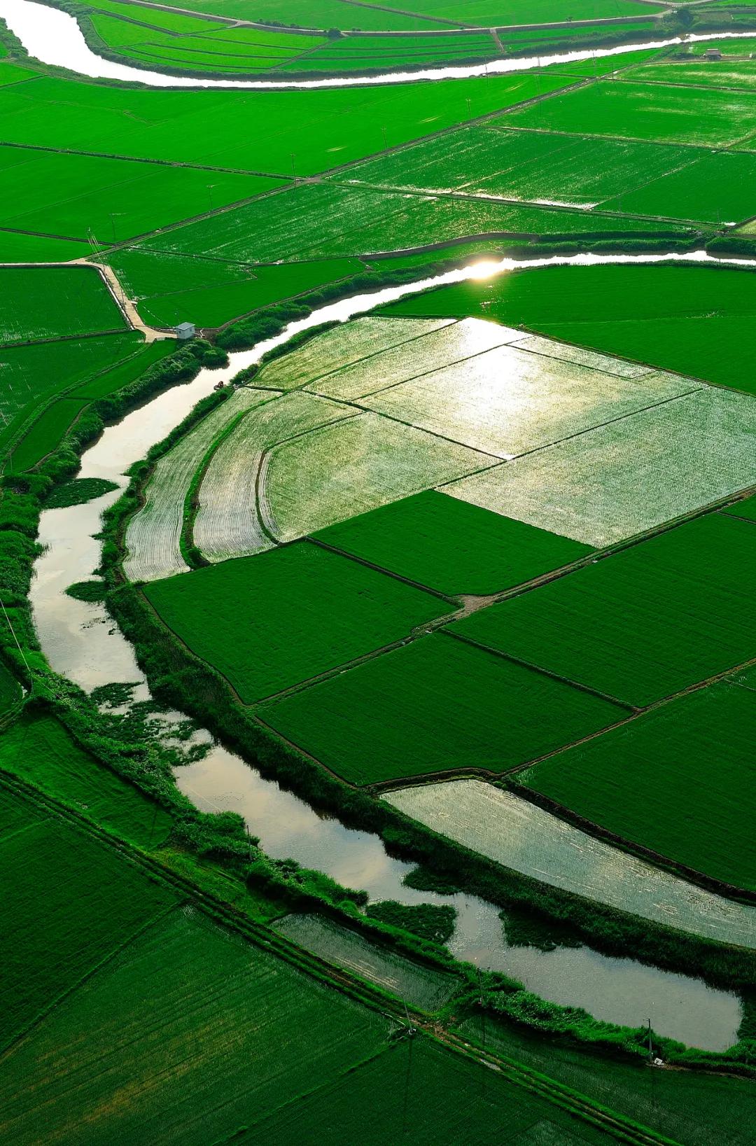 鳝鱼有几种吃法怎么吃,广东鳝鱼怎么做好吃