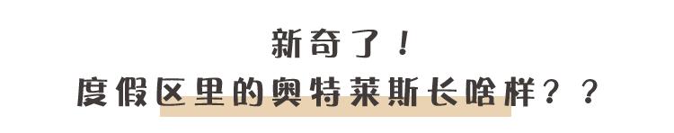 有More有Young!快来围观南京这家奥特莱斯的4周年“血拼”