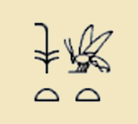 古埃及法老王都有哪些,古埃及法老王的五个名字