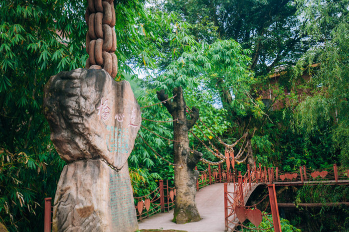 昆明西双版纳沿途的景点有哪些,昆明至西双版纳沿途旅游景点