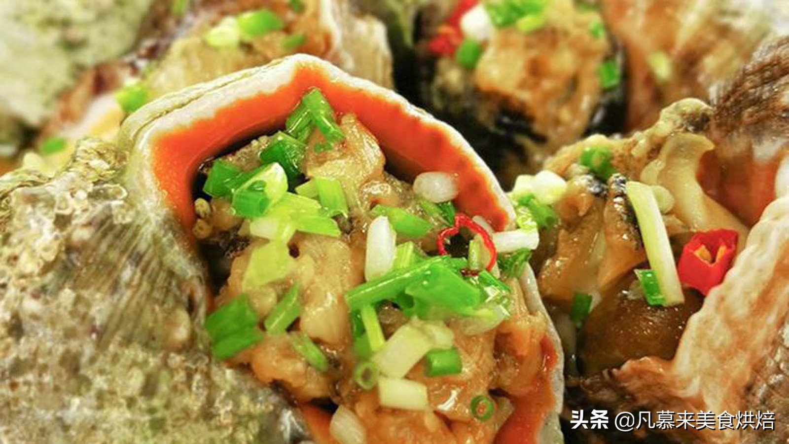 大海螺的正确吃法,最大的大海螺的正确吃法