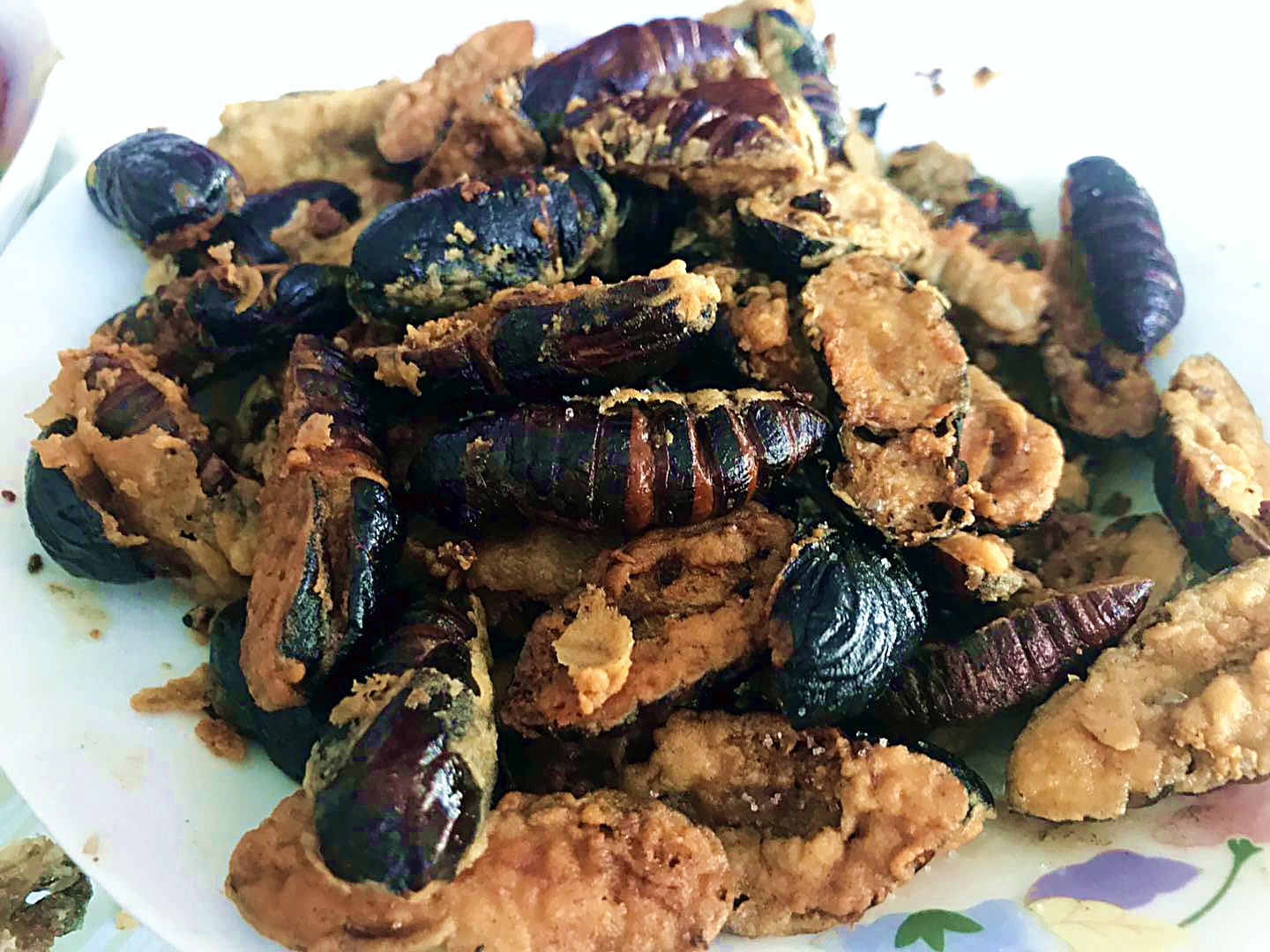 干煸蝉蛹怎么做,家常菜100道简单炒菜干煸蝉蛹