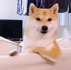 熬夜翻书、占卜算卦起的名字,怎么就让孩子尴尬了呢?