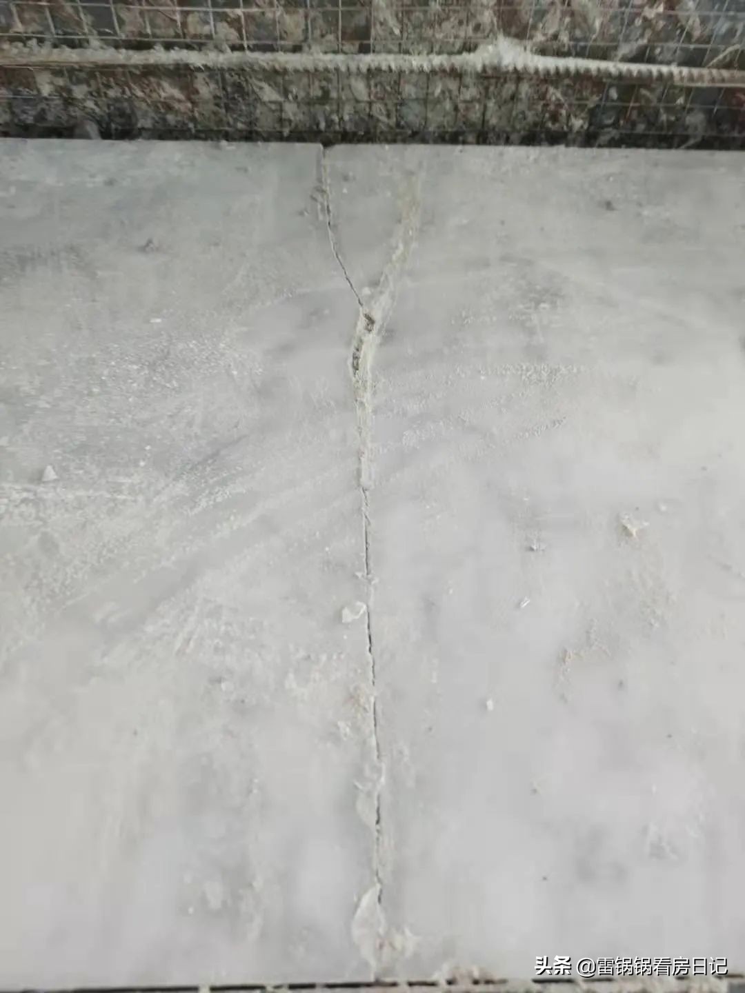 缁垮煄璐ㄩ噺浜嬫晠,缁垮煄浜や粯缈昏溅