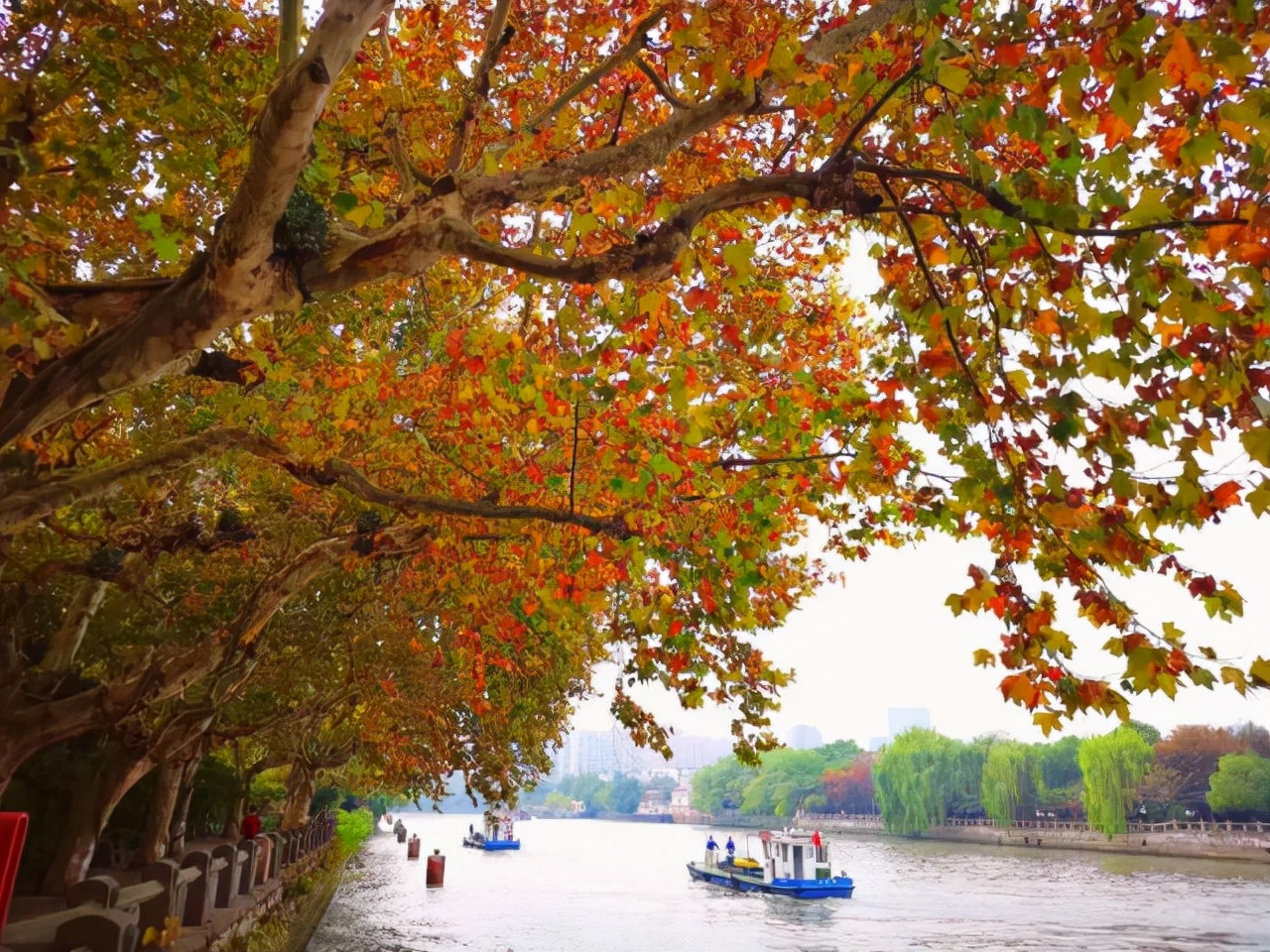 大运河公开赛,大运河乒乓球比赛