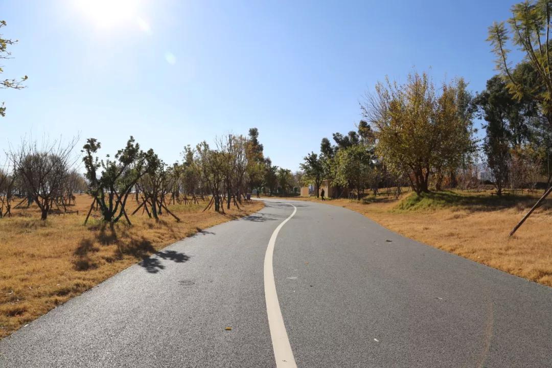 环海西路何时开工,环海路开放时间