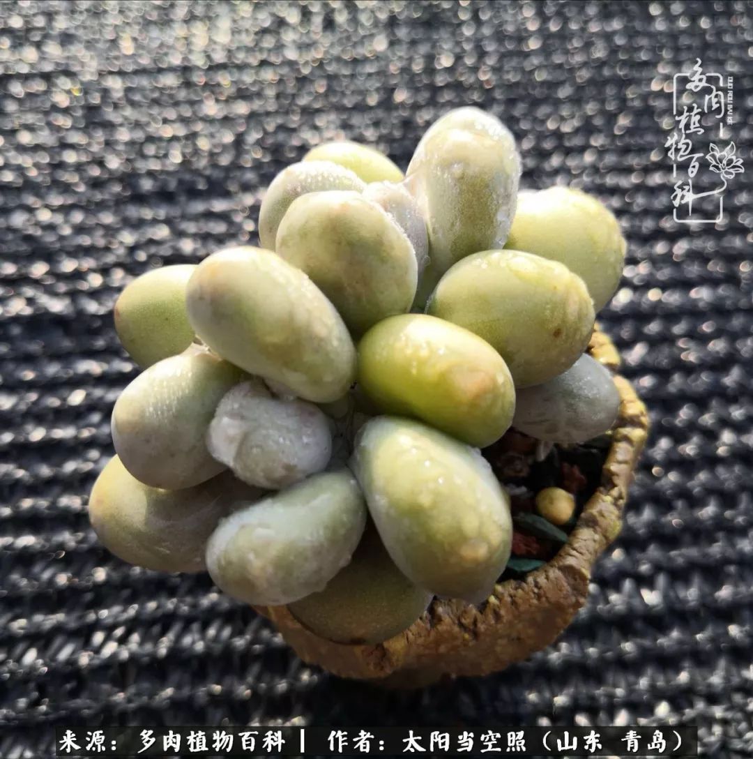 离家在外才发现最难忘的是故乡情,离家在外看见家乡的东西