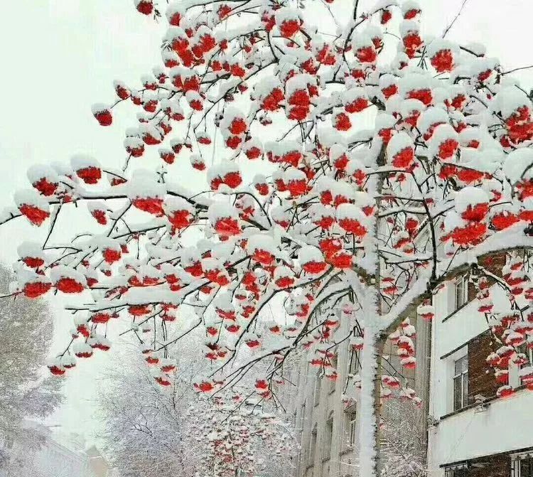 铁路线路查询,市郊铁路的最新政策