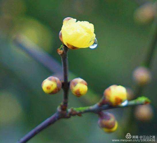 高情商的人如何解决心理难题,放下烦恼和焦虑让心回归平和