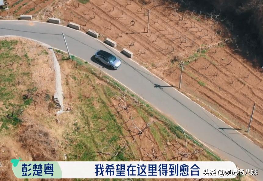 花少2合体上综艺,华少宋丹丹是哪一季