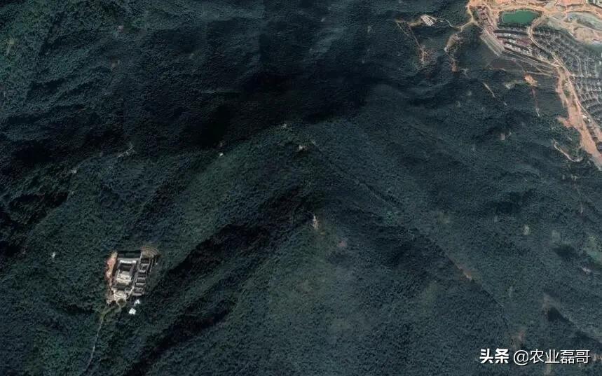 长安县卫星地图,卫星东莞长安地图