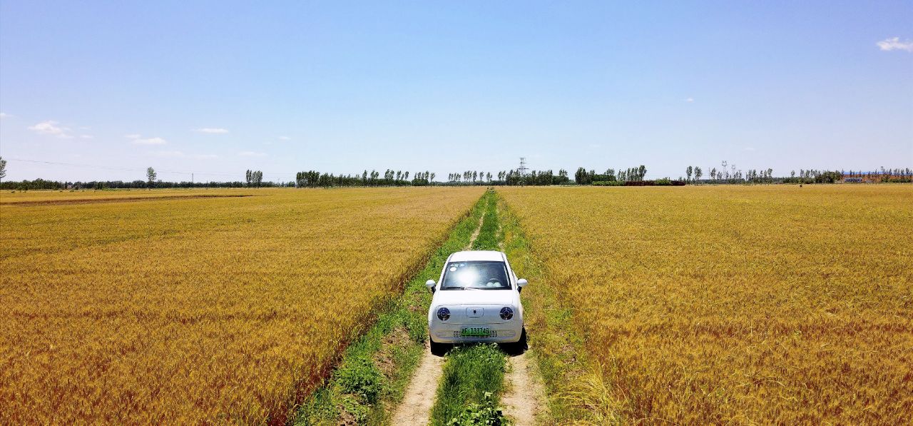 娆ф媺濂崇姹借溅,娆ф媺濂崇
