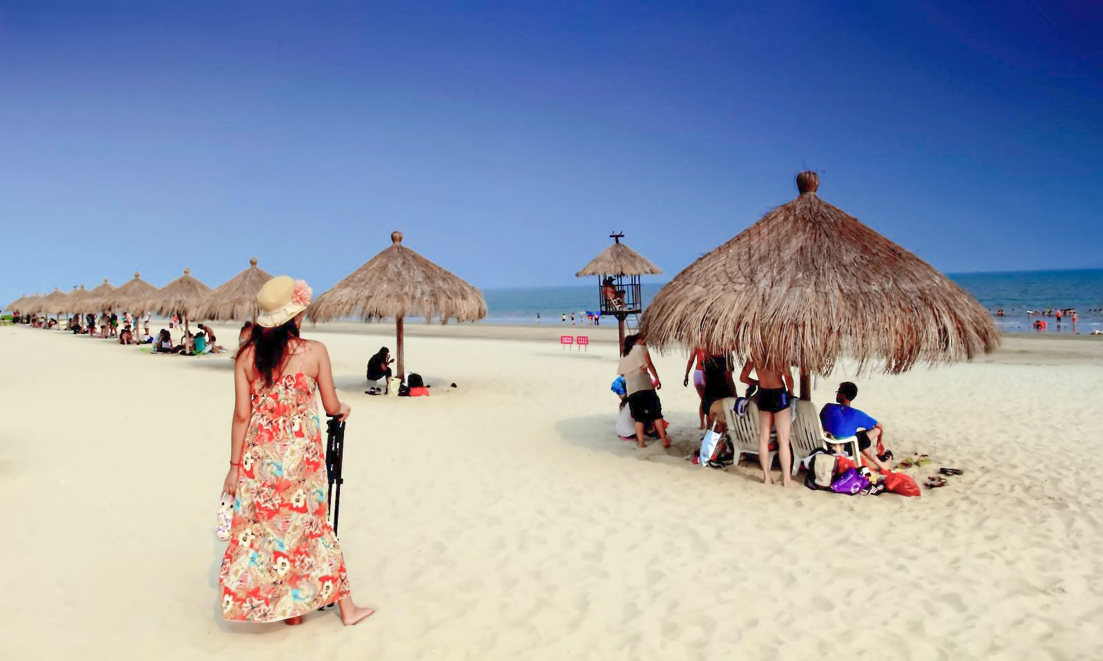 茂名浪漫海岸旅游度假区攻略,茂名浪漫海岸开了几年