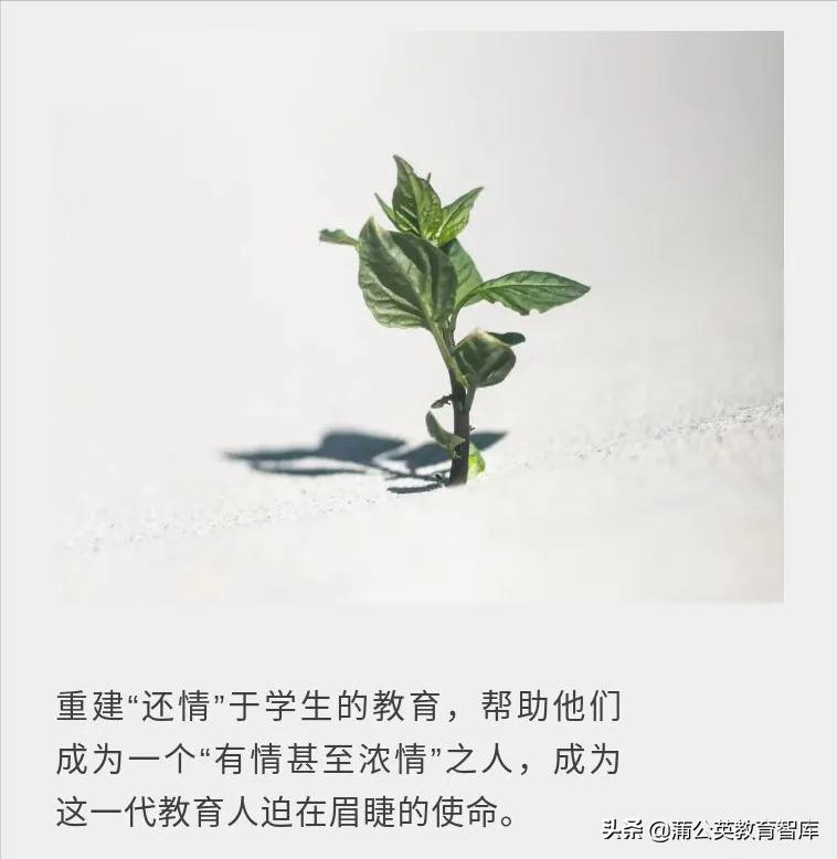 好的教育是爱与鼓励,好的教育精神是什么样