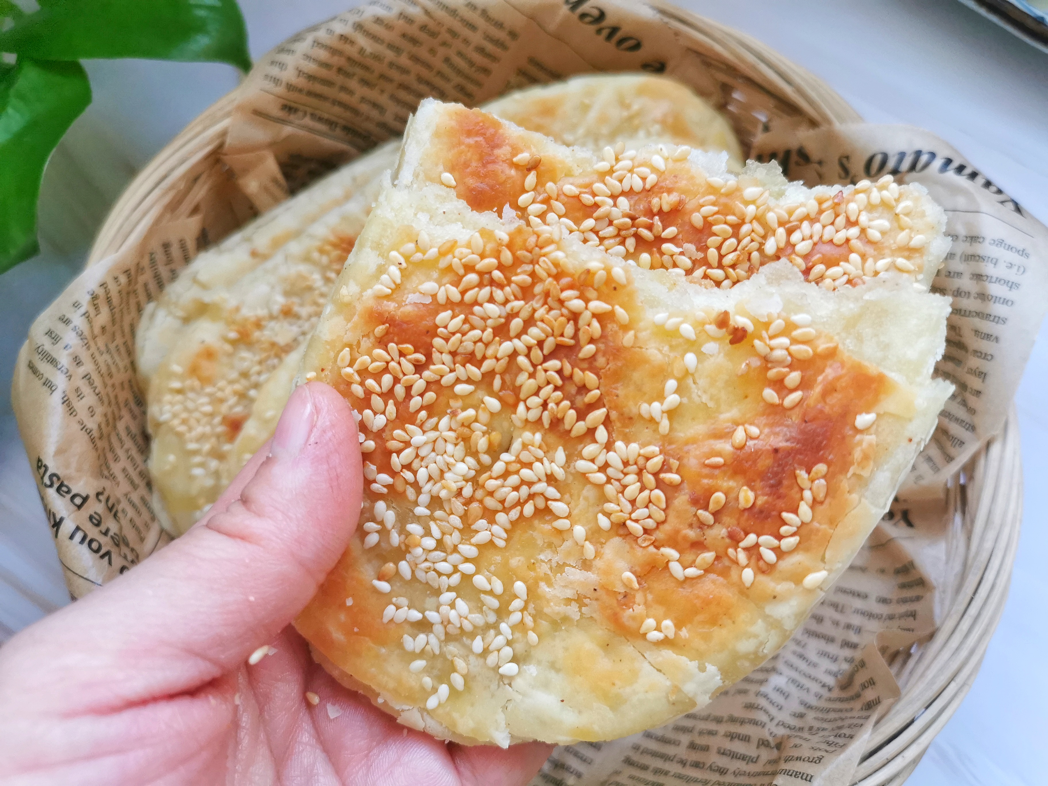 早餐迷上了这荤素搭配的饺子,早餐简单又好吃的烧饼100种做法