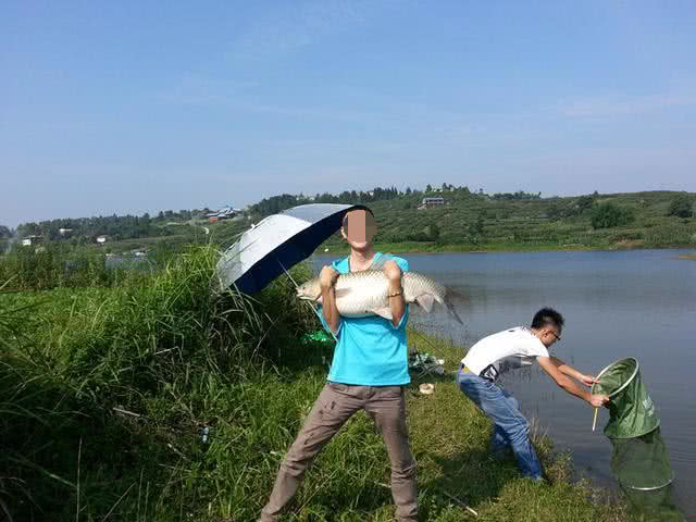 哪些地方可以钓到大草鱼,在野外能钓到大鱼吗