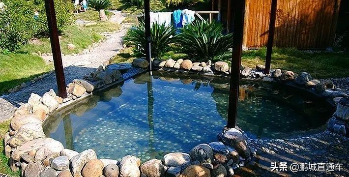 不用去日本就能去的猫岛,不用去日本的海边