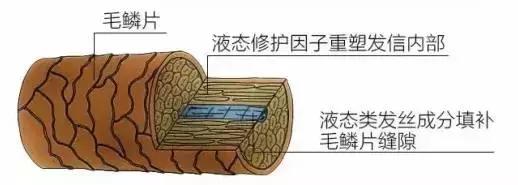 爱茉莉烫染护发精油,爱茉莉护发精油造型版