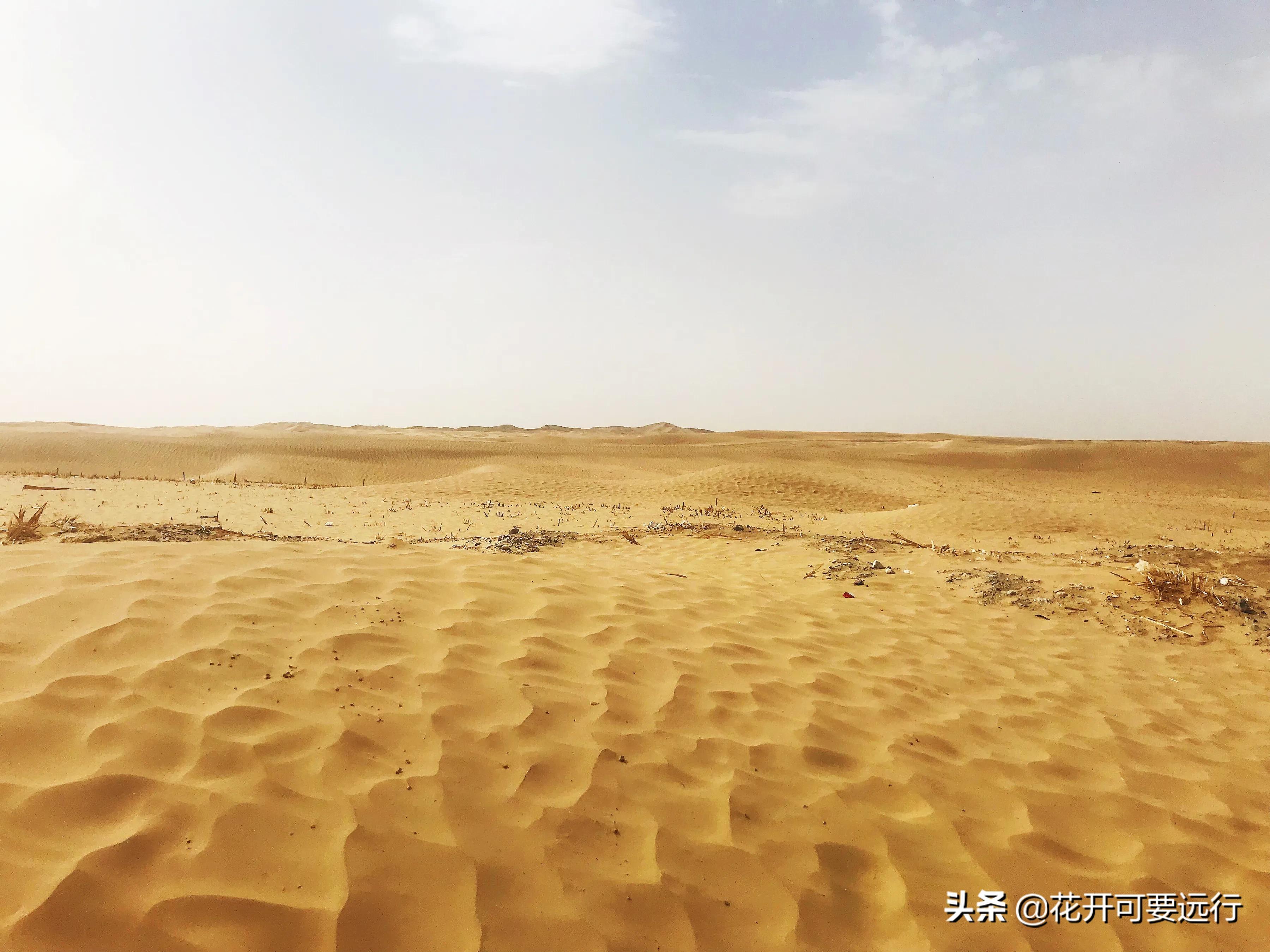 民丰到轮台全程565.66公里，限速80的塔克拉玛干沙漠公路，打卡吗