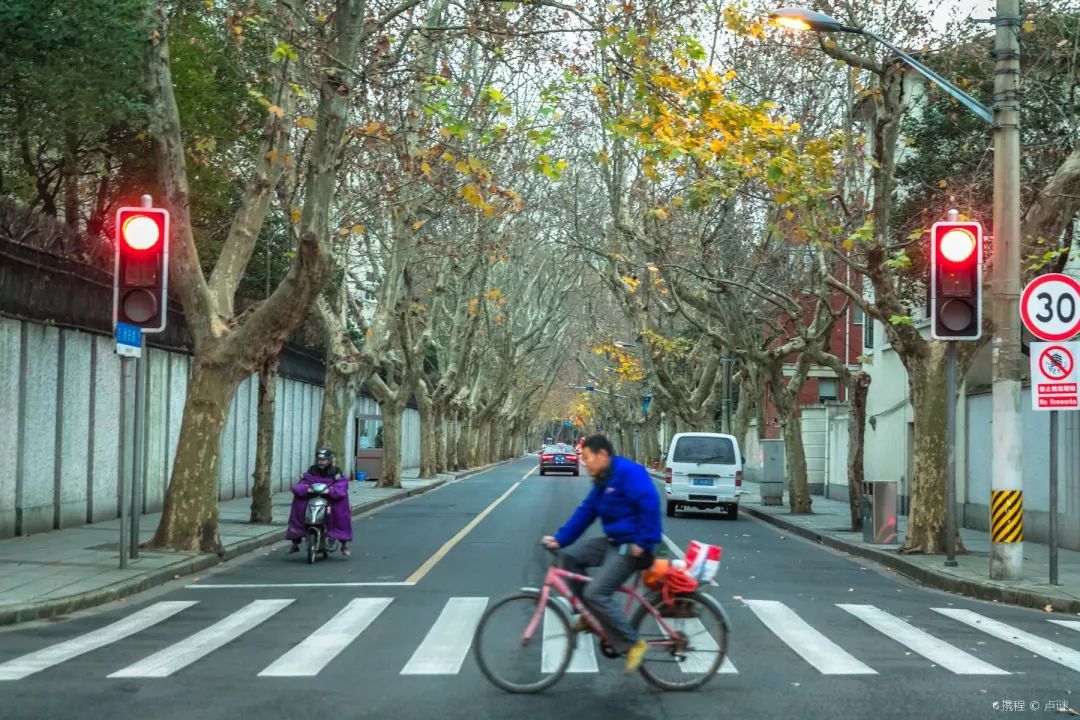 上海十大网红马路,魔都网红一条街