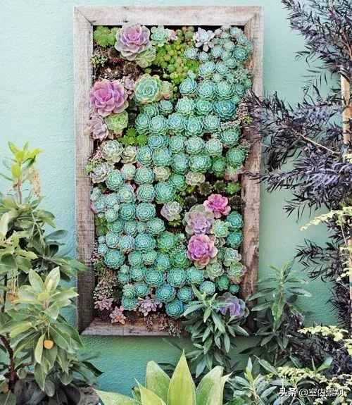 植物墙与永生植物墙不同,植物墙天然