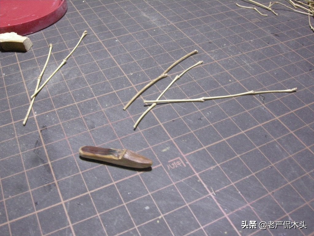 昆虫标本树脂竹节虫,昆虫标本制作竹节虫