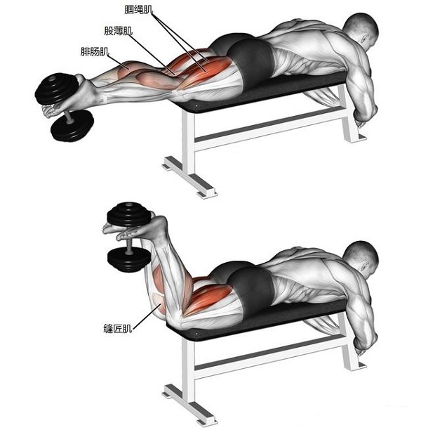 如何练出粗壮的腘绳肌进阶训练,腘绳肌强大腿部肌肉训练教学