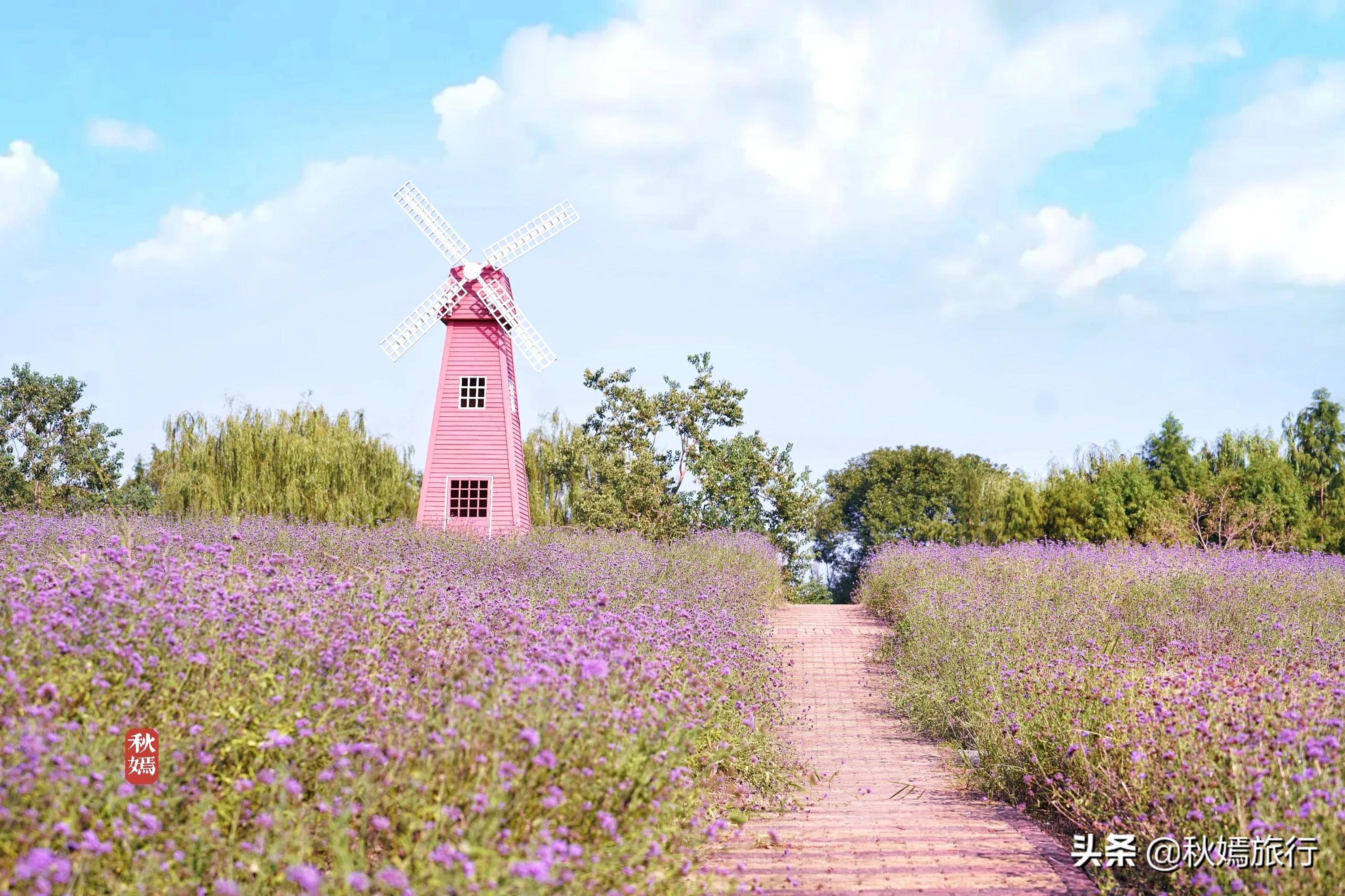苏州吴中太湖新城苏州湾湿地公园,苏州湿地免费公园虎丘