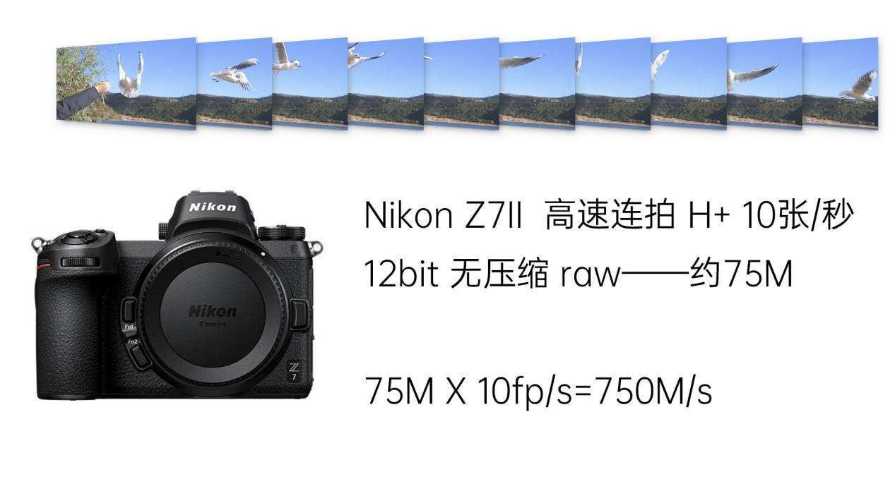 cfexpress存储卡什么品牌的好,cfexpress存储卡和sd卡区别