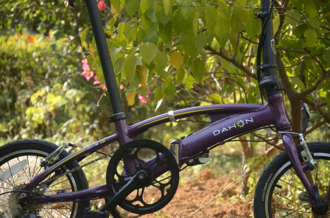 大行sra682用的什么变速器,大行sra折叠自行车