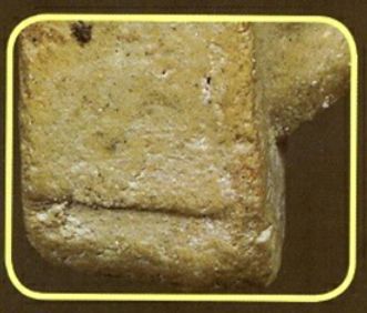 「鉴变」2494普陀耐最受欢迎的大模第二无耳线模