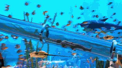 上海深坑酒店建造全过程,上海深坑酒店是几星级的