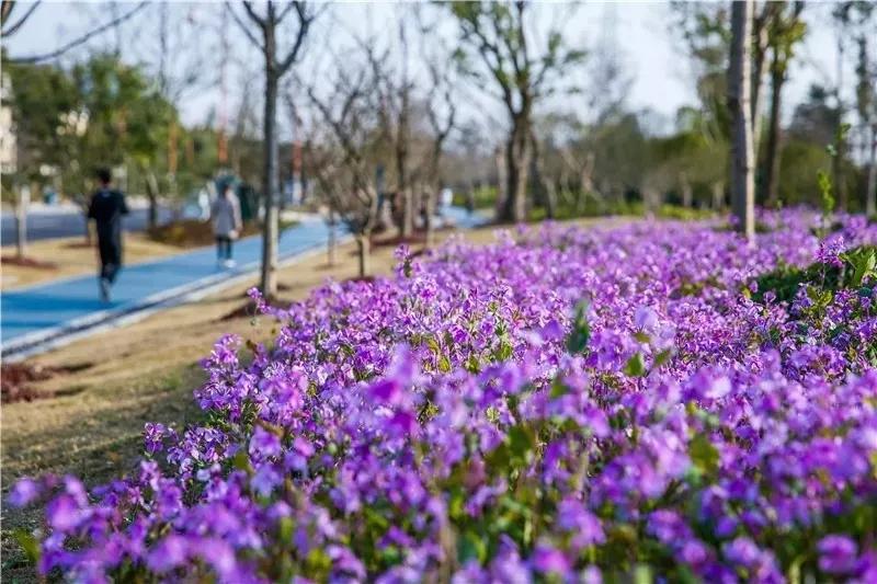 松江国际生态商务区地标,松江国际生态公园