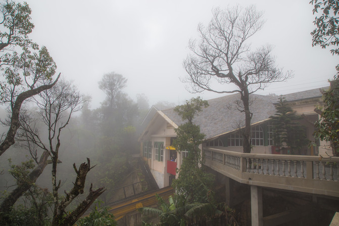 华人在越南经济地位,华人在越南的历史
