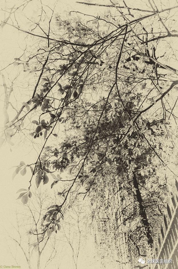 著名医院院长们谈应对疫情危机“没有经验,只有教训