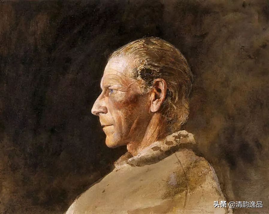 类似安德鲁怀斯的画家,安德鲁怀斯画家视频