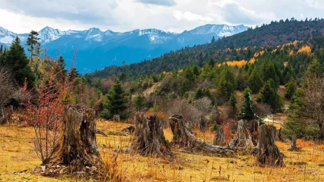 11月适合去旅行的著名风景推荐,10月11月适合旅游的地方