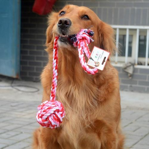 狗狗磨牙棒怎么做教程,狗狗磨牙棒的正确使用方法