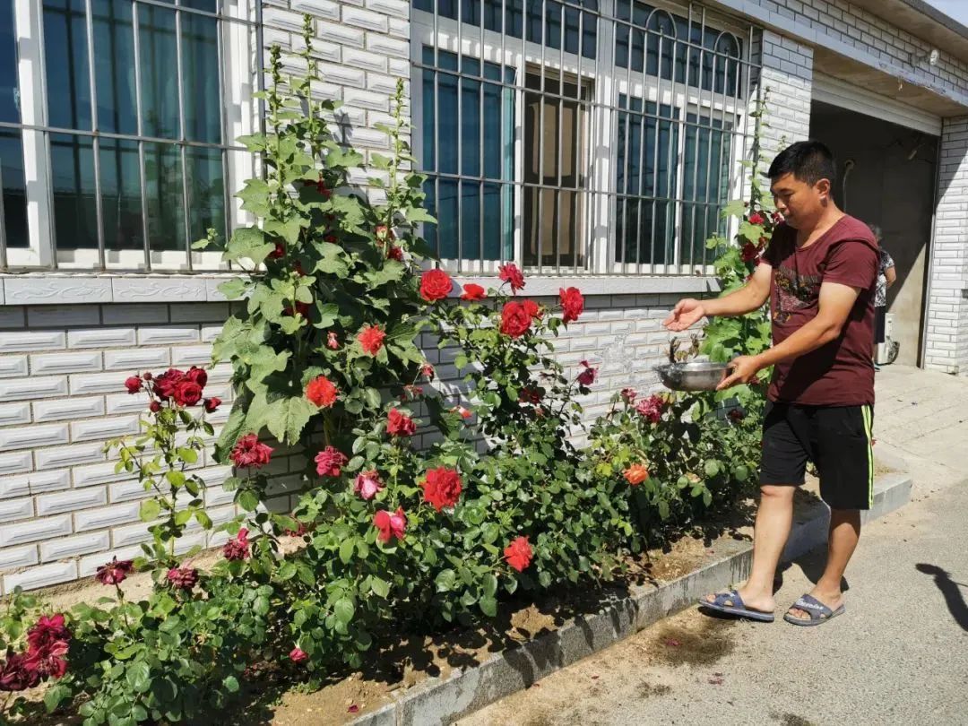 鲅鱼圈美景,鲅鱼圈小望海最美乡村