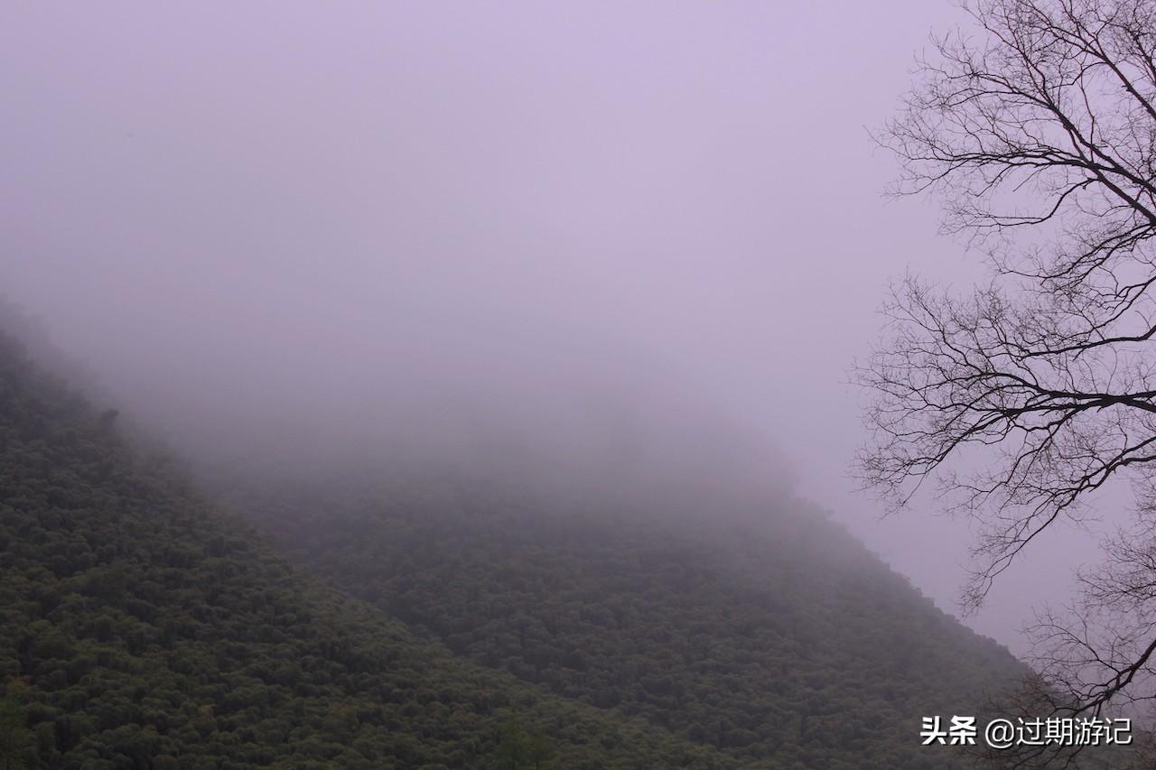 安吉大竹海旅行,冬季安吉大竹海景区