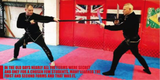 咏春拳的缺点和不足,咏春拳沦为业界笑话的原因